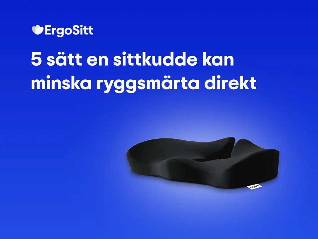 ErgoKudden på blå bakgrund med texten "5 sätt en sittkudde kan minska ryggsmärta direkt" – informationsgrafik från ErgoSitt.