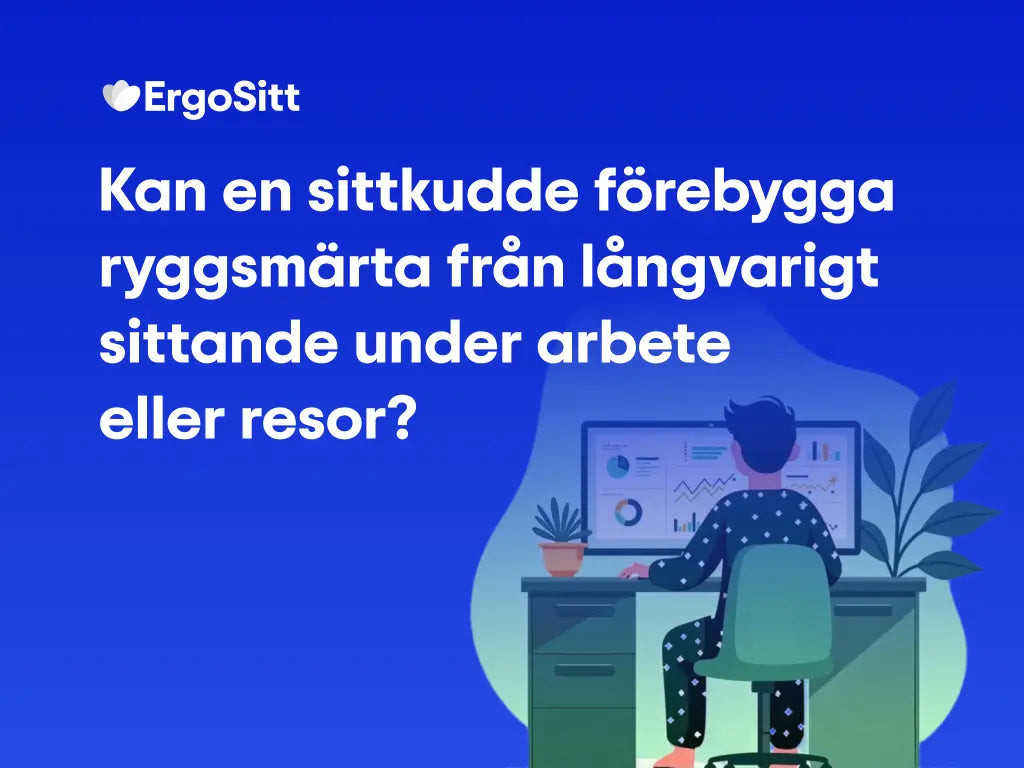 Kan en sittkudde förebygga ryggsmärta från långvarigt sittande under arbete eller resor?