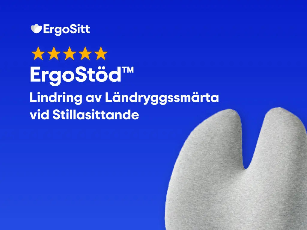 Lindring av Ländryggssmärta vid Stillasittande