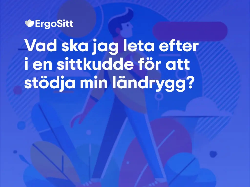 Vad ska jag leta efter i en sittkudde för att stödja min ländrygg?