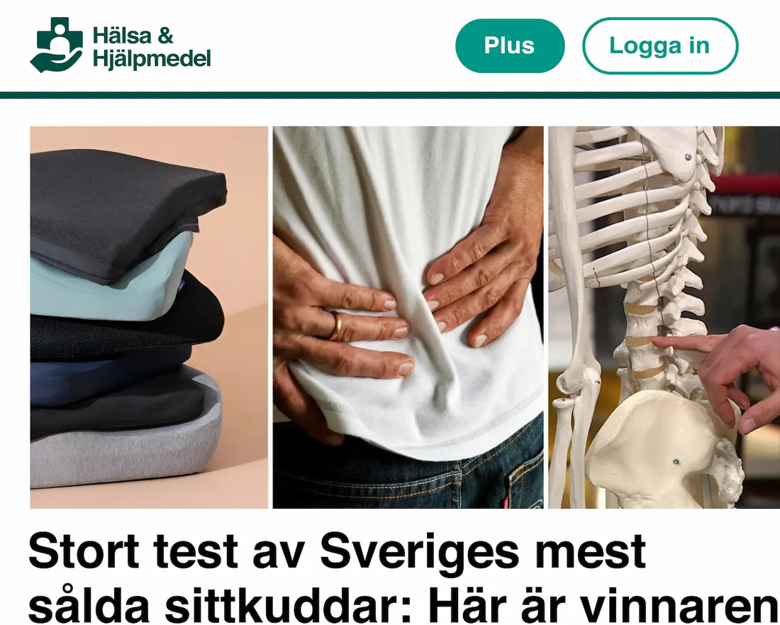 Stort test av Sveriges mest sålda sittkuddar: Här är vinnaren