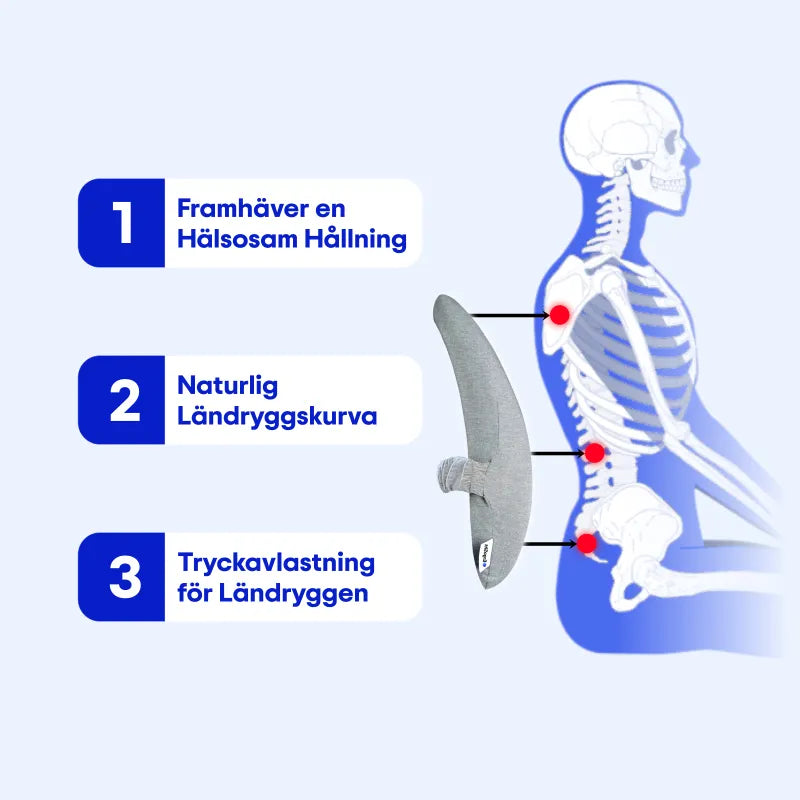 Ergonomisk Ländryggskudde
