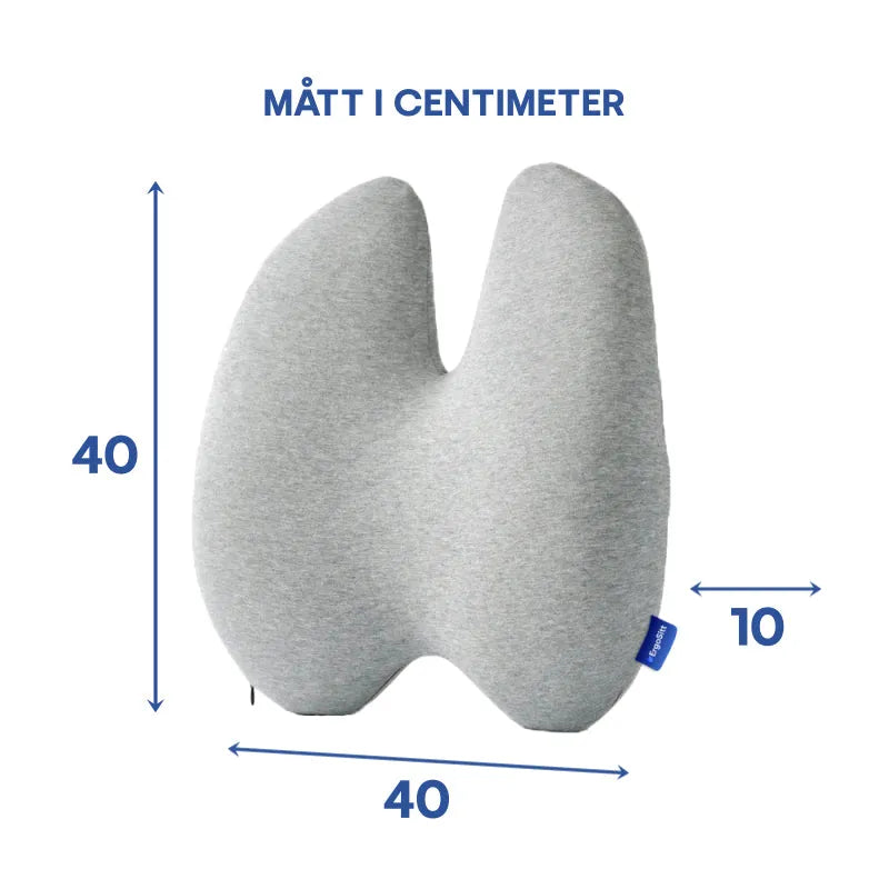 ErgoLyx ergonomisk ländryggskudde i grå färg med måtten 40 cm bredd, 40 cm höjd och 10 cm djup.