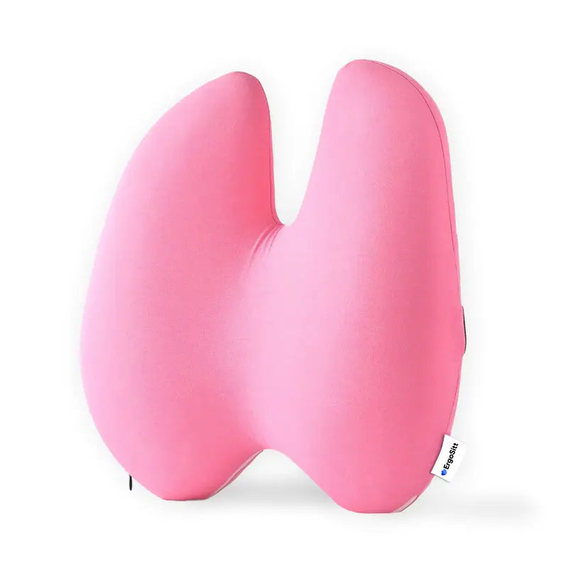 Ergonomisk Ländryggskudde
