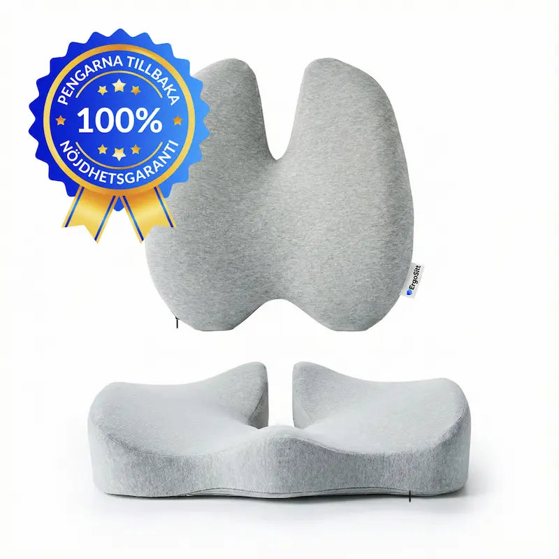 ErgoPaket Pro i grått med ErgoKudden sittkudde och ErgoStödet ländryggskudde — komplett ergonomiskt stöd med 100 procent nöjdhetsgaranti och pengarna tillbaka